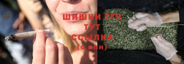 винт Инта