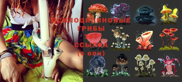 PSILOCYBIN Иннополис
