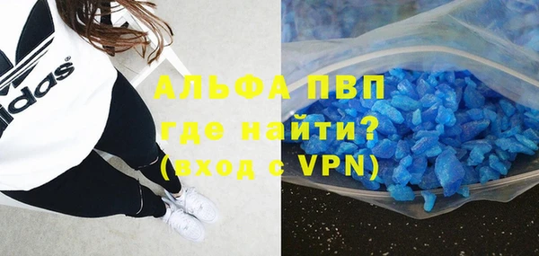 винт Инта