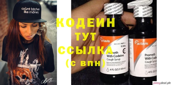 винт Инта