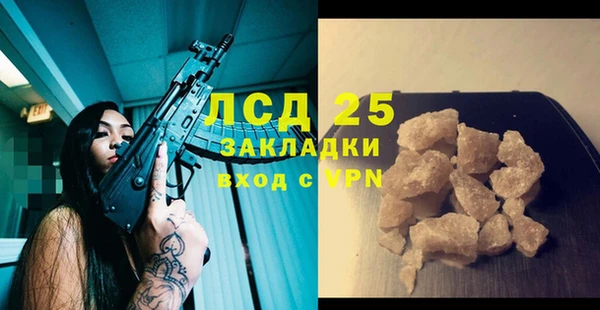 PSILOCYBIN Иннополис