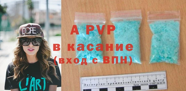 PSILOCYBIN Иннополис