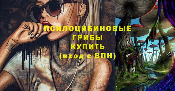 винт Инта