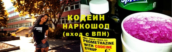 крисы Инсар