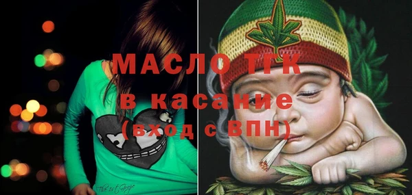 крисы Инсар