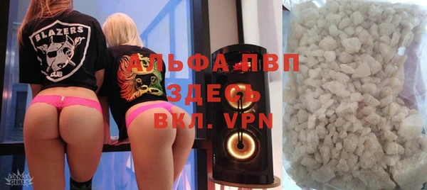 PSILOCYBIN Иннополис