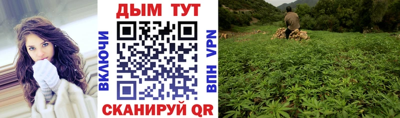 Купить  Зарайск  Бошки Шишки индика 